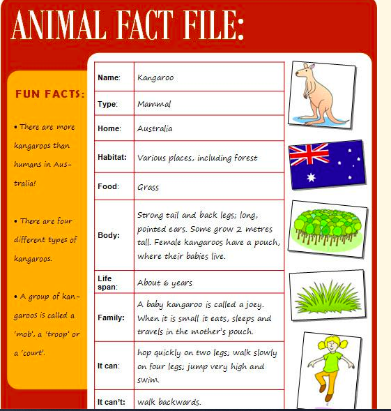 7c2sci21-animal-fact-file-example-mhol